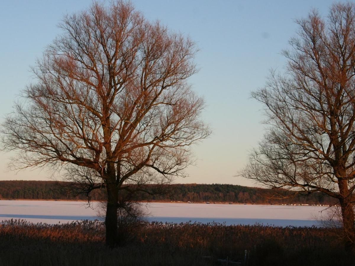 Ilonas Seeblick Appartamento Plau am See Esterno foto